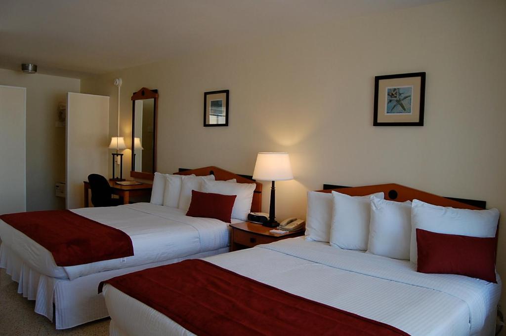 Alcazar Resort- Gay Mens Resort Fort Lauderdale Quarto foto